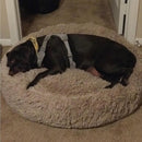 Cama para Pet Comfort Soft